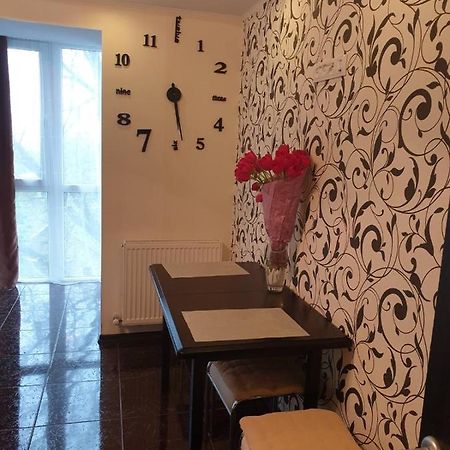 Elena'S Holiday Apartment カームヤネツィ・ポジーリシクィイ エクステリア 写真