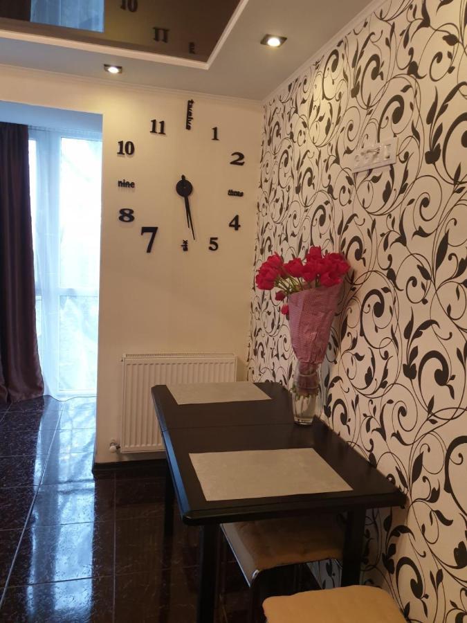 Elena'S Holiday Apartment カームヤネツィ・ポジーリシクィイ エクステリア 写真