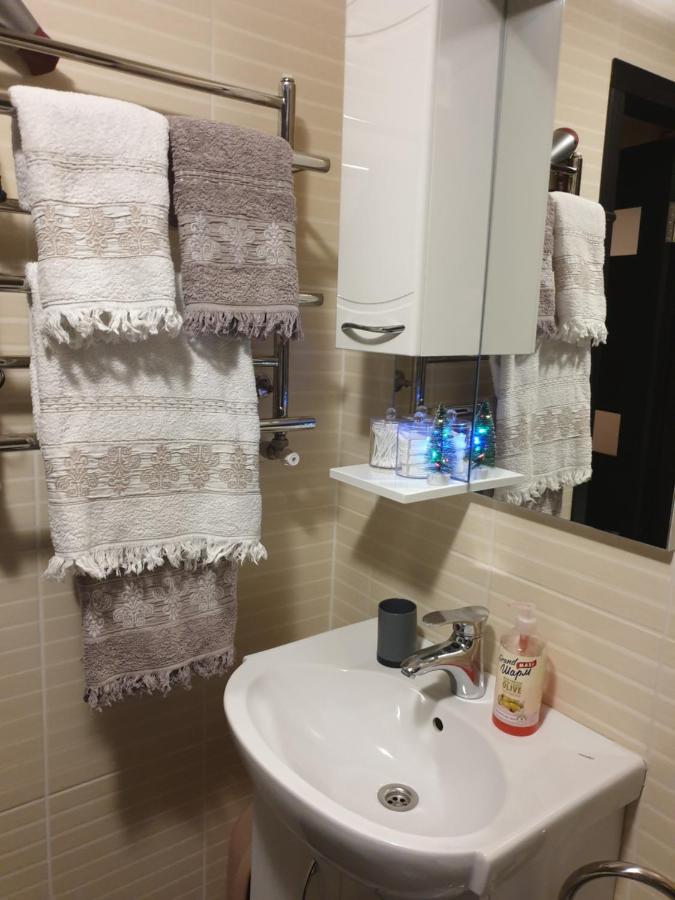 Elena'S Holiday Apartment カームヤネツィ・ポジーリシクィイ エクステリア 写真