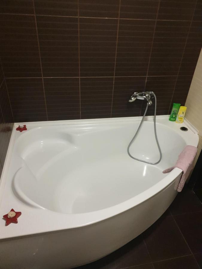 Elena'S Holiday Apartment カームヤネツィ・ポジーリシクィイ エクステリア 写真