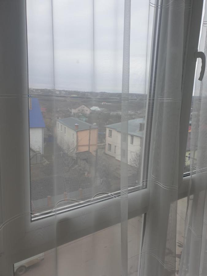 Elena'S Holiday Apartment カームヤネツィ・ポジーリシクィイ エクステリア 写真